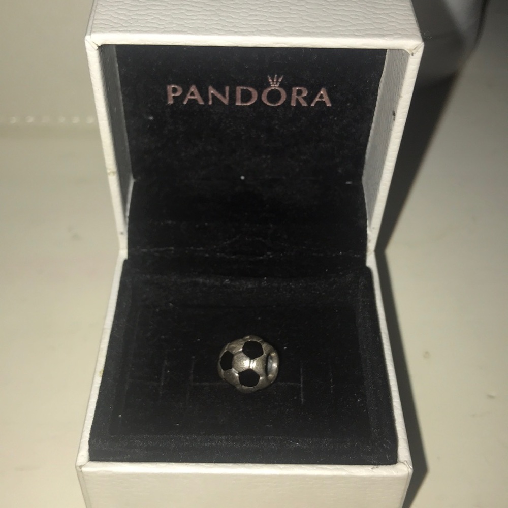 Pandora charm